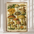 Mushroom Botanical Print, Vintage Fungi Illustration, Nature Wall Art Poster