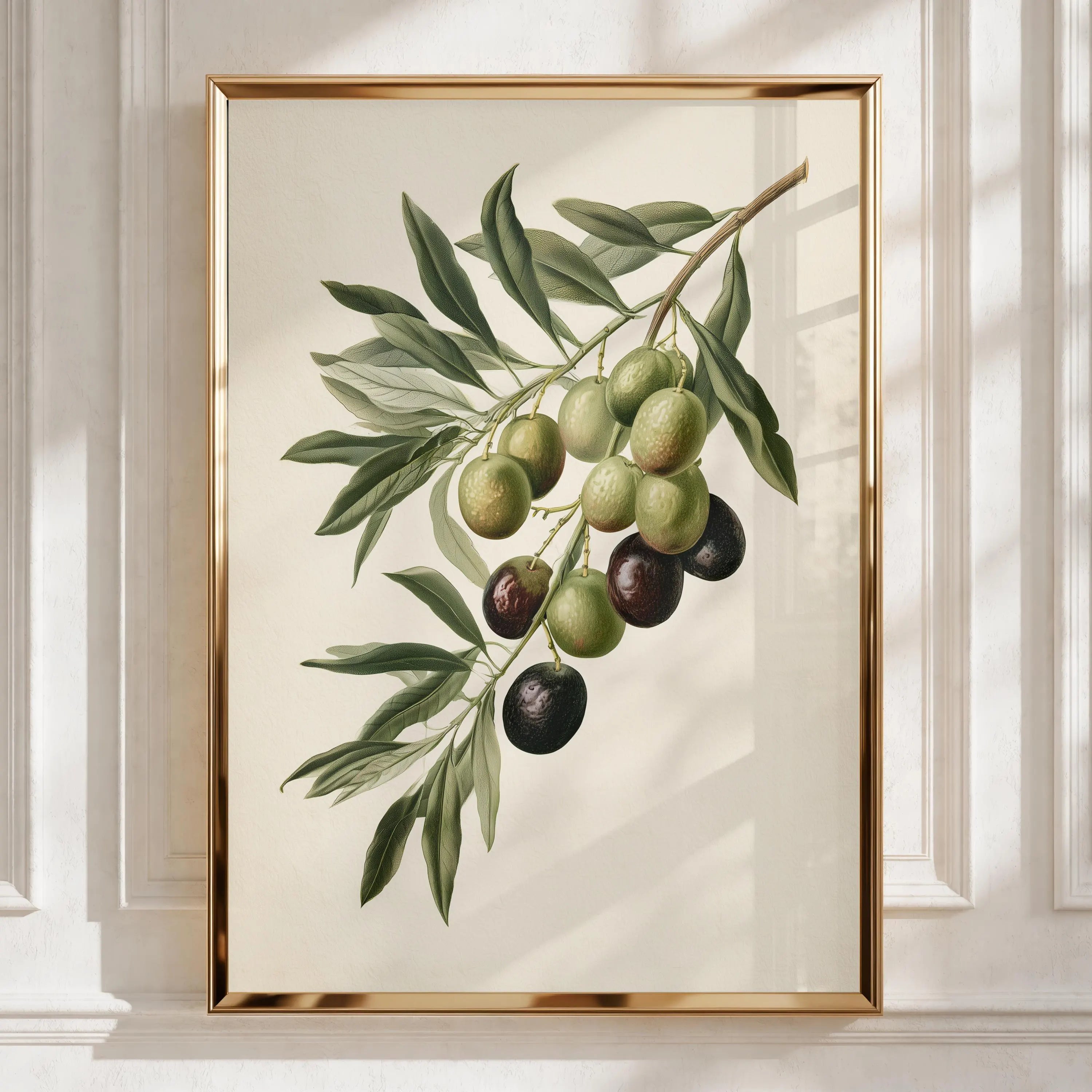 Olive Branch Botanical Print, Mediterranean Wall Art, Vintage Style Poster