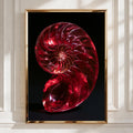 Red Nautilus Shell Poster, Spiral Fibonacci Art Print, Bold Nature Wall Art