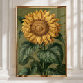 Sunflower Botanical Print, Vintage Engraving Style Wall Art Poster