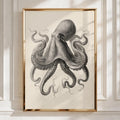 Octopus Print, Vintage Scientific Illustration, Dark Academia Wall Art