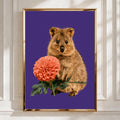 Quokka with Dahlia Flower Poster, Australian Animal Wall Art Print