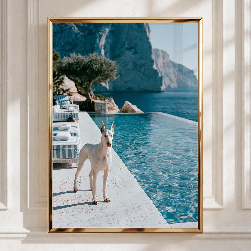 Dobermann Infinity Pool Poster, White Dog Mediterranean Cliffs, Luxury Print
