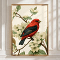 Red Bird on Dogwood Blossom Poster, Scarlet Tanager botanical illustration print