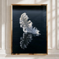 White Feather Reflection Wall Art Poster, Dark Moody Nature Print