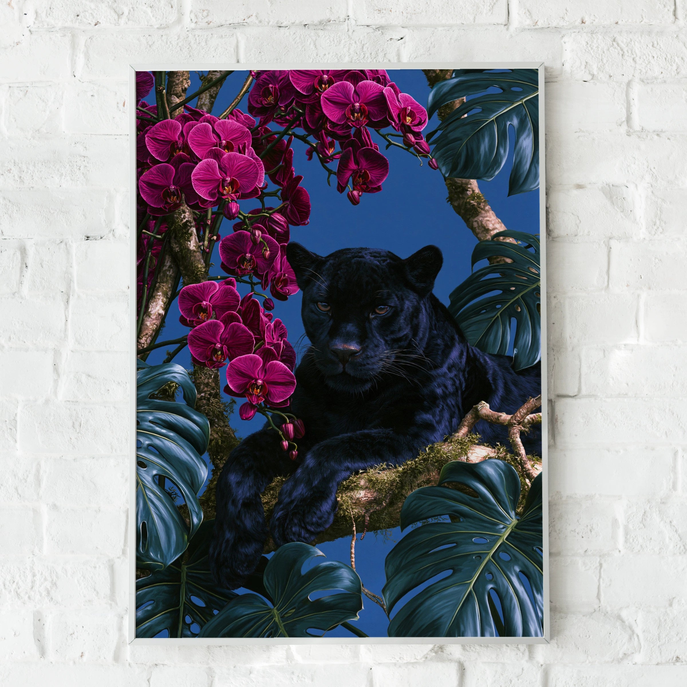 Black Panther Orchids Monstera Poster, Tropical Jungle Wall Art Print