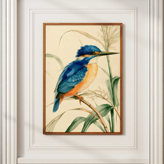 Kingfisher Bird Print, Botanical Illustration Poster, Vintage Nature Wall Art