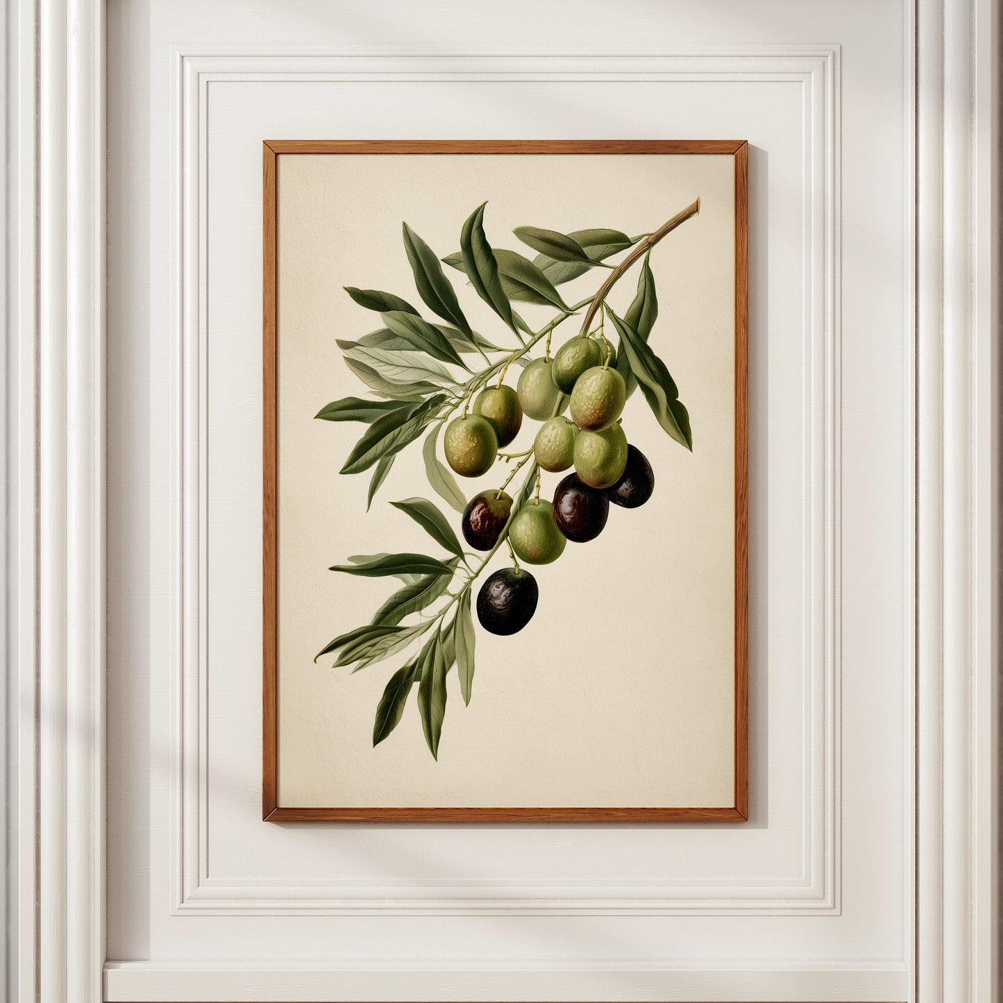 Olive Branch Botanical Print, Mediterranean Wall Art, Vintage Style Poster