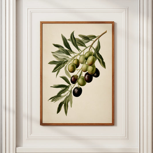 Olive Branch Botanical Print, Mediterranean Wall Art, Vintage Style Poster