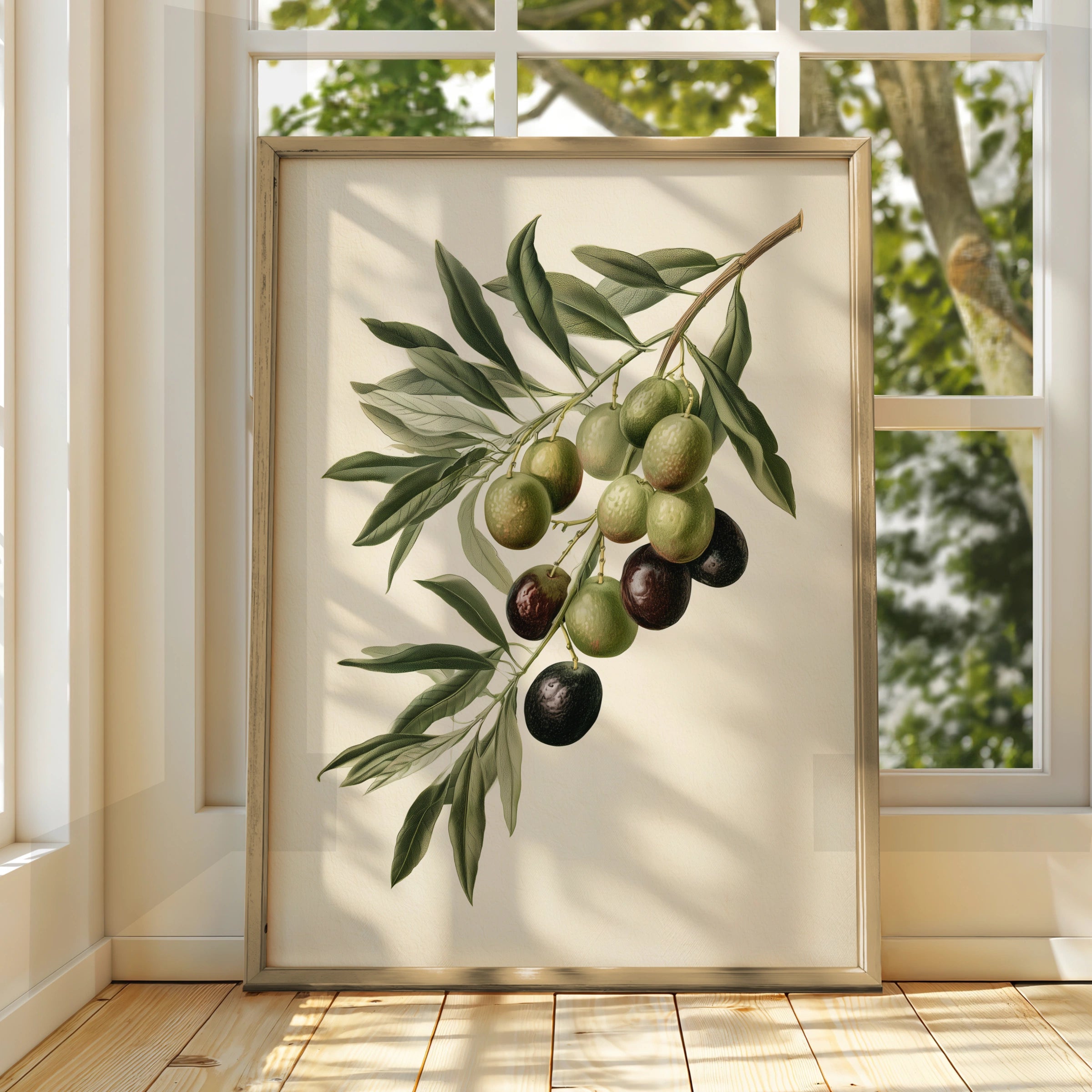 Olive Branch Botanical Print, Mediterranean Wall Art, Vintage Style Poster