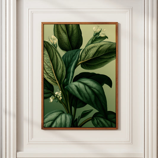 Sage Plant Botanical Print, Dark Green Leaf Wall Art, Vintage Illustration Poster