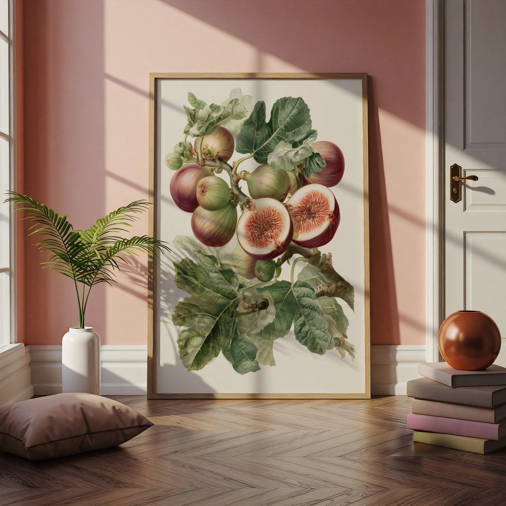 Fig Botanical Print, Vintage Fruit Illustration, Kitchen Wall Art Poster