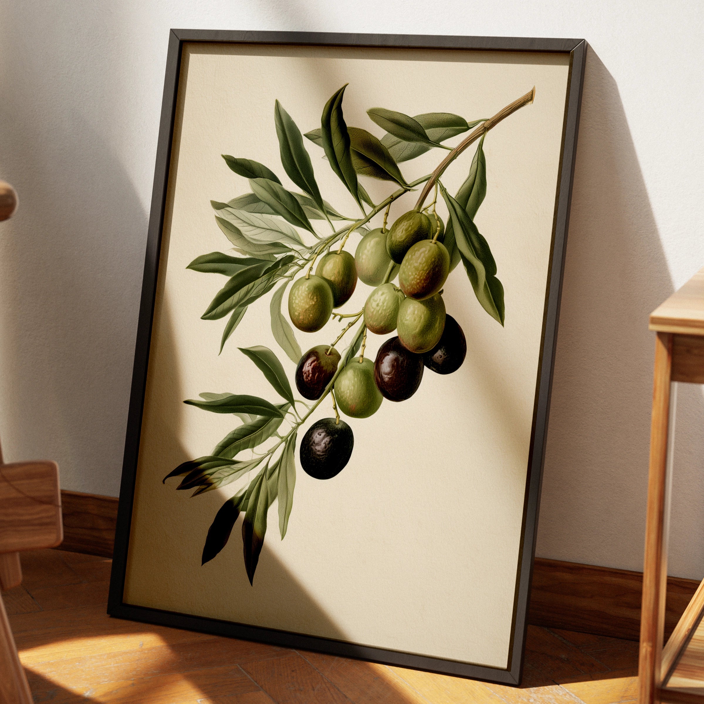 Olive Branch Botanical Print, Mediterranean Wall Art, Vintage Style Poster