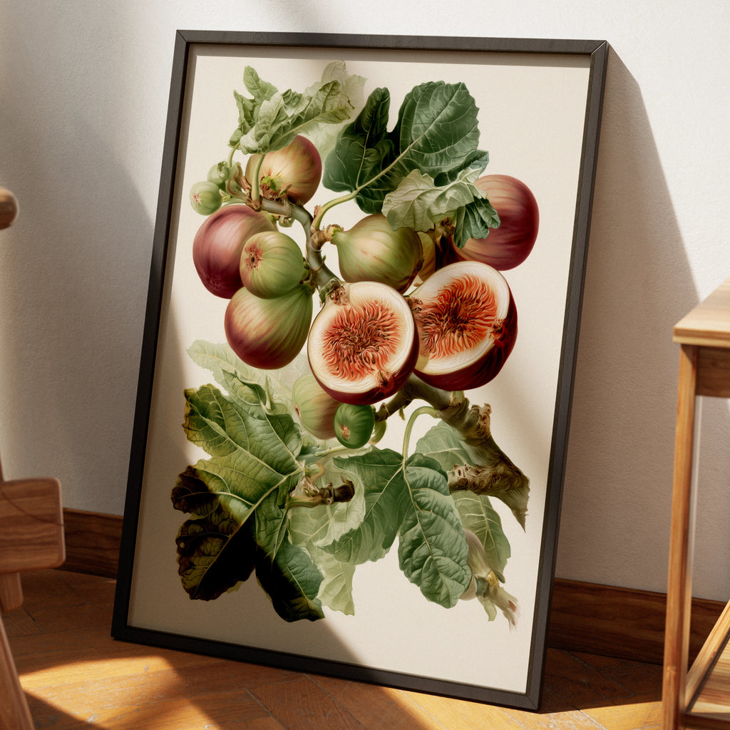Fig Botanical Print, Vintage Fruit Illustration, Kitchen Wall Art Poster
