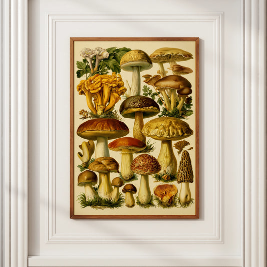 Mushroom Botanical Print, Vintage Fungi Illustration, Nature Wall Art Poster
