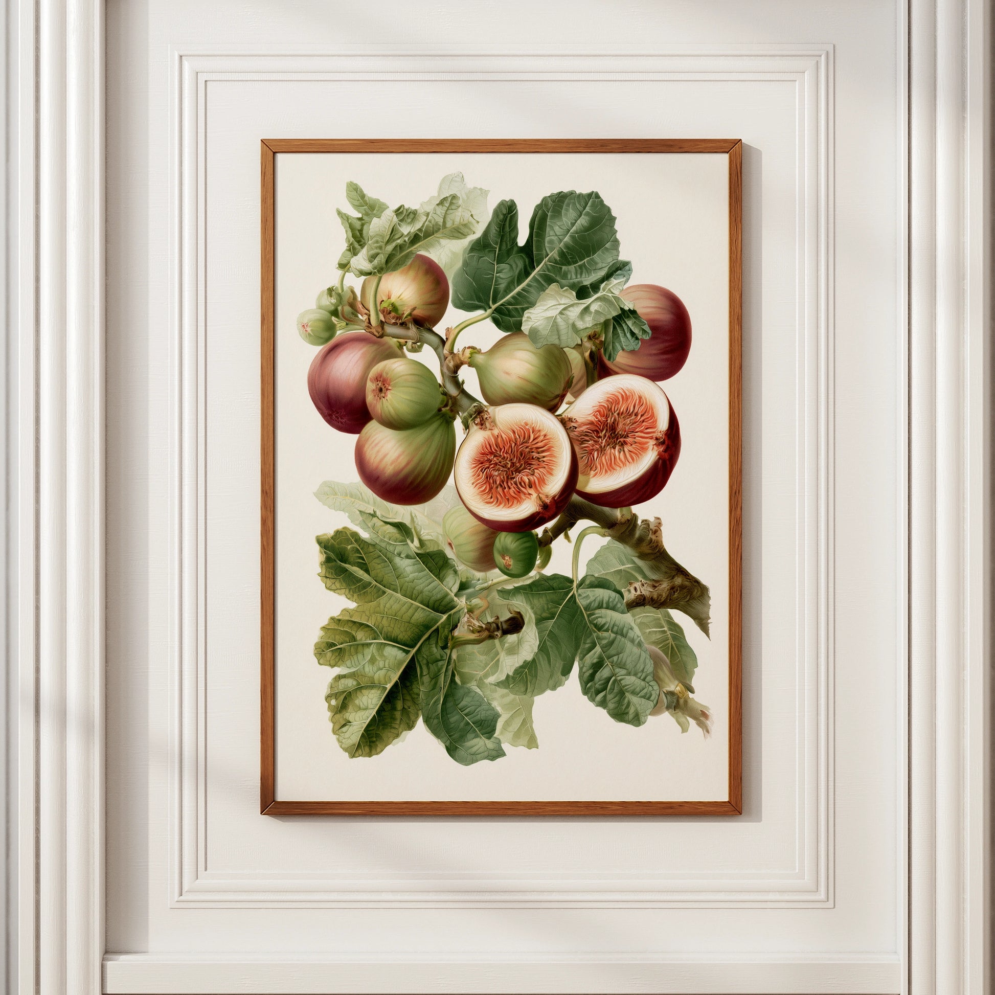 Fig Botanical Print, Vintage Fruit Illustration, Kitchen Wall Art Poster
