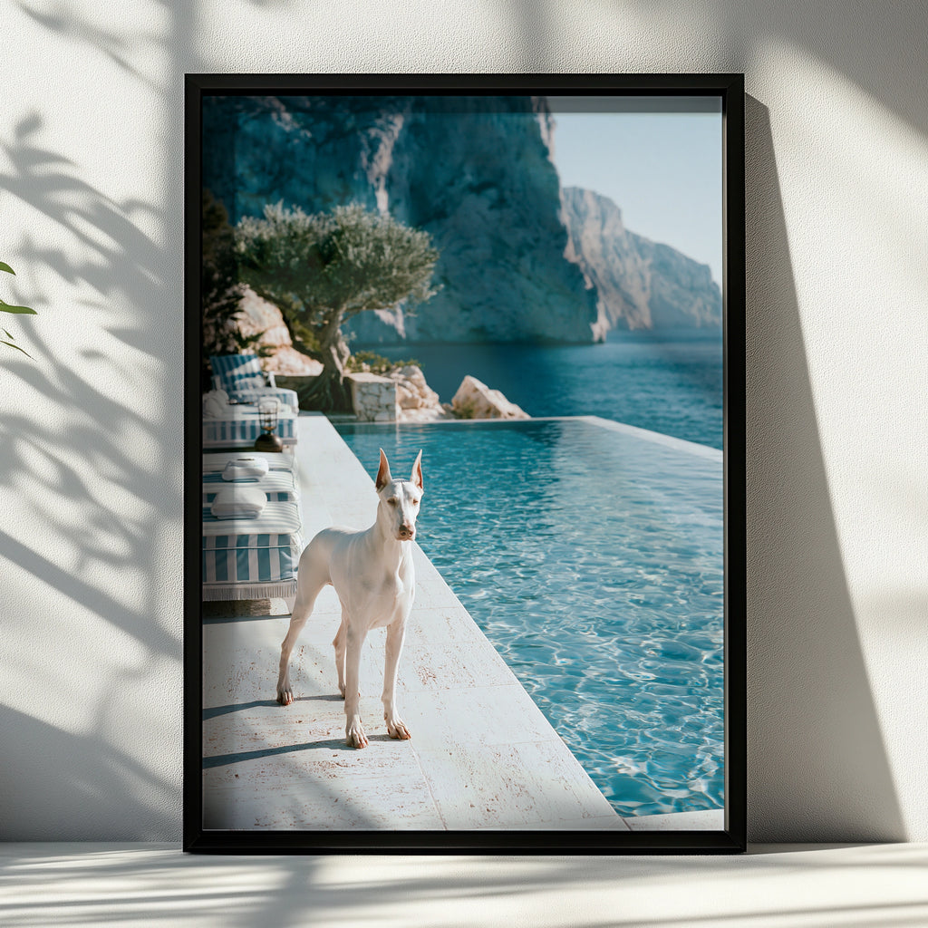 Dobermann Infinity Pool Poster, White Dog Mediterranean Cliffs, Luxury Print