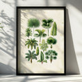 Palm Botanical Print, Tropical Leaf Poster, Vintage Green Wall Art