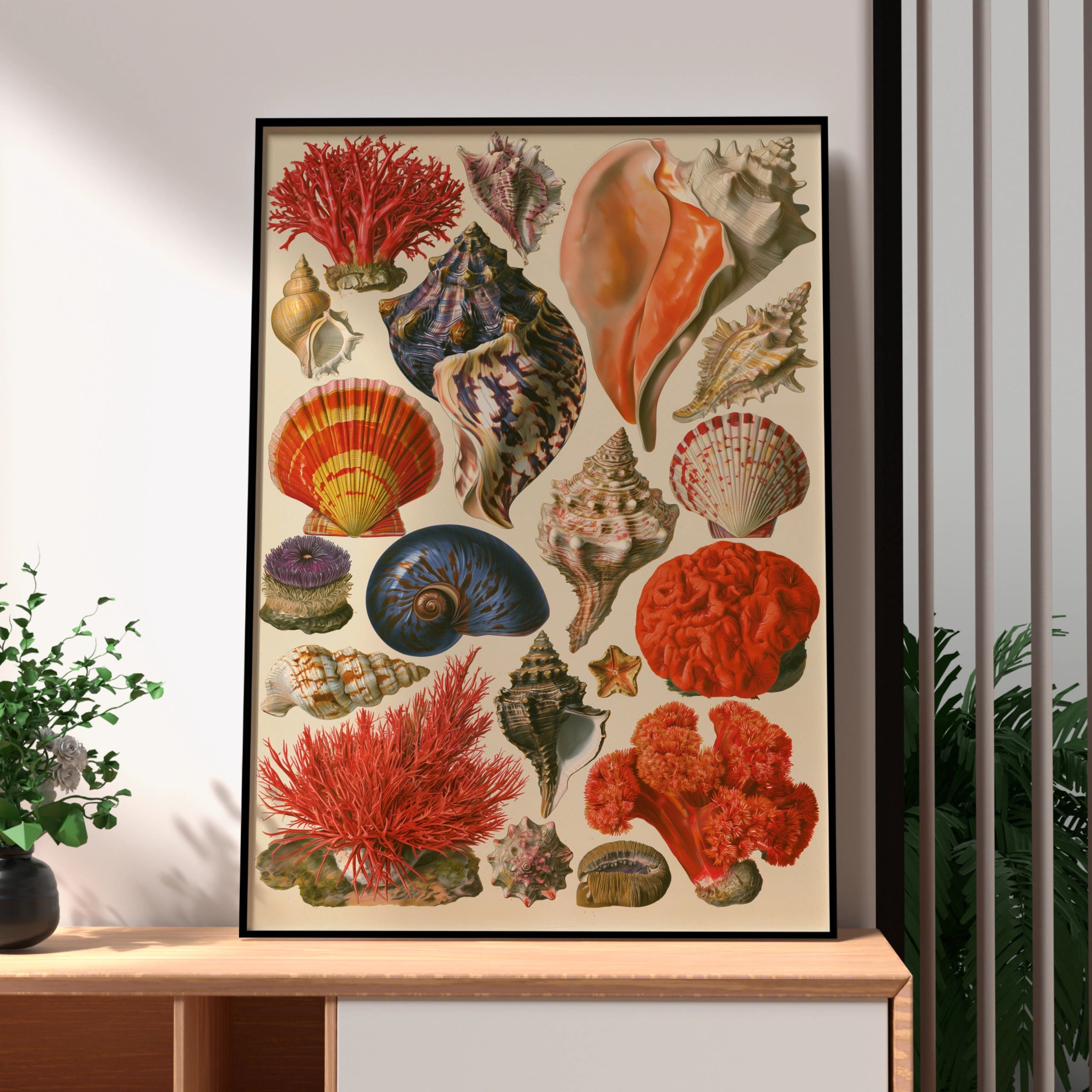 Seashell Collection Poster, Vintage Botanical Marine Art Print, Coastal Wall Decor
