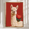 Alpaca with Red Protea Flower Poster, Bold Animal Wall Art Print