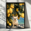 French Bulldog Lemon Tree Poster, Mediterranean Coast, Oil Painting Style