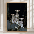 Lambs Wall Art Poster, Dark Background, Painterly Animal Print