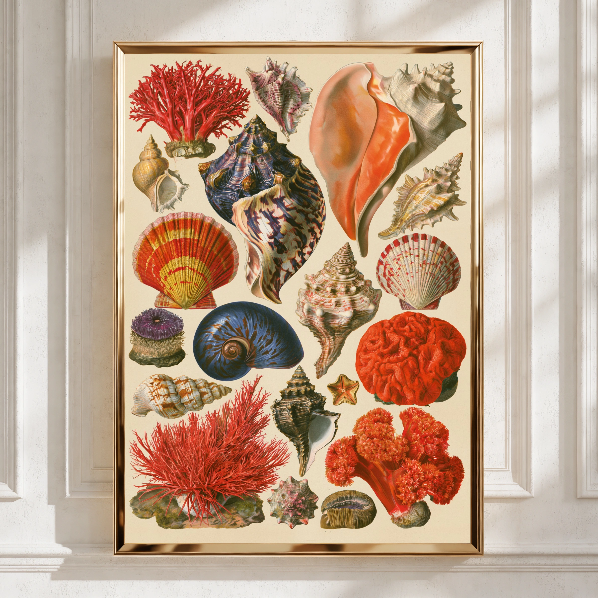 Seashell Collection Poster, Vintage Botanical Marine Art Print, Coastal Wall Decor