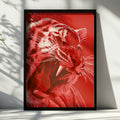 Red Tiger Growling Wall Art Poster, Bold Wildlife Print, Modern Animal Art