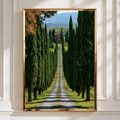 Tuscany Cypress Boulevard Wall Art Poster, Italian Countryside Print, Nature Landscape