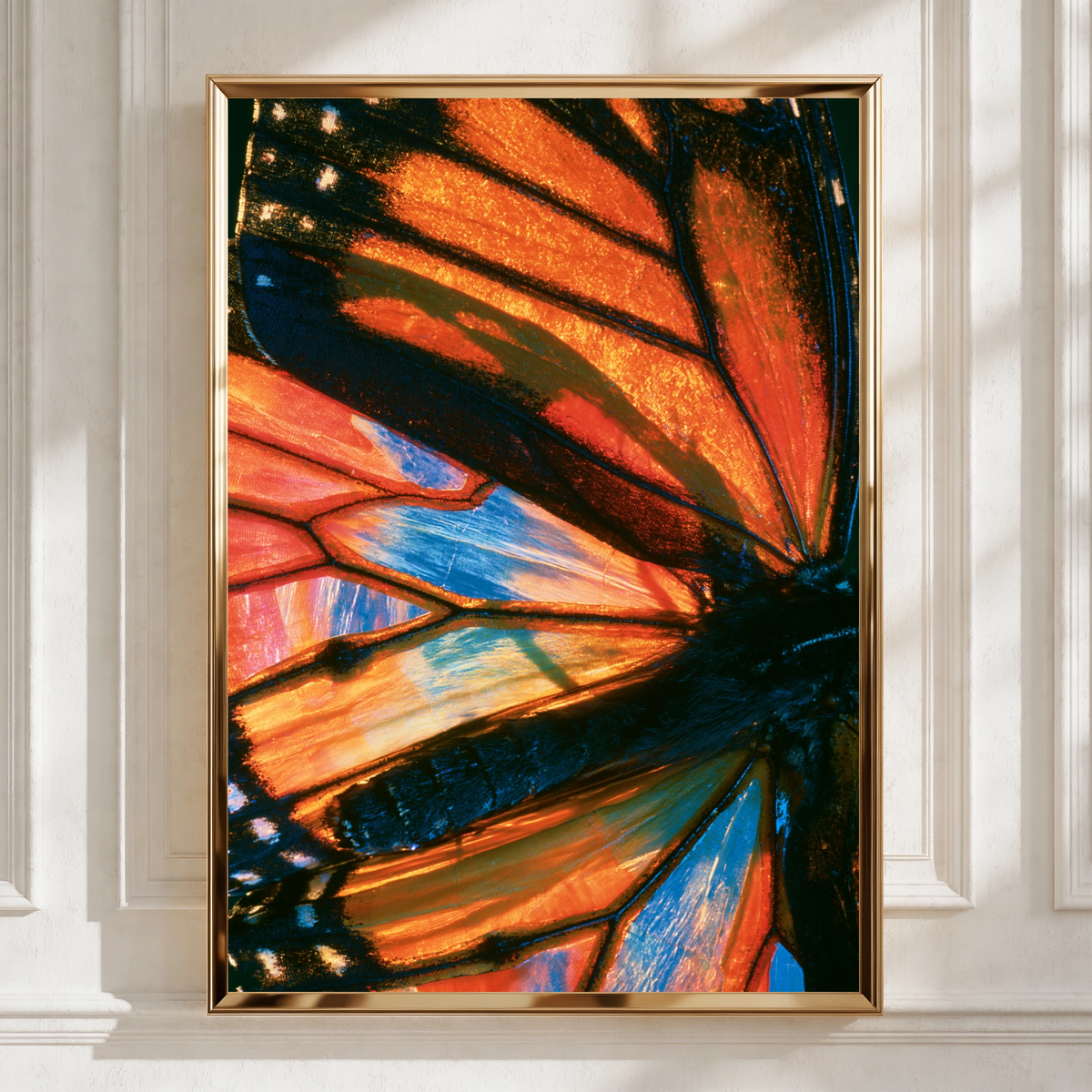 Butterfly Wing Close Up Poster, Macro Nature Photography Print, Orange Blue