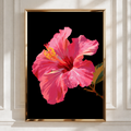 Pink Hibiscus Flower Poster, Tropical Botanical Wall Art, Dark Background Print
