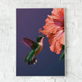 Hummingbird Hibiscus Poster, Botanical Bird Wall Art, Vibrant Illustration Print